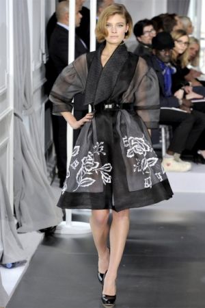 Dior Spring 2012 Haute Couture2.jpg